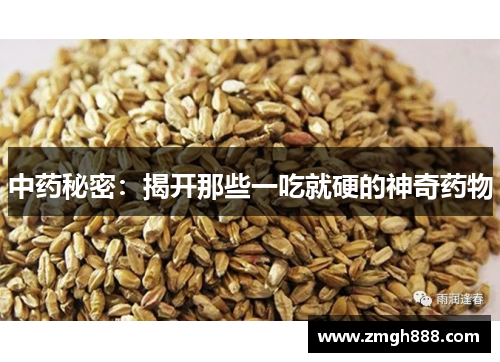 中药秘密：揭开那些一吃就硬的神奇药物