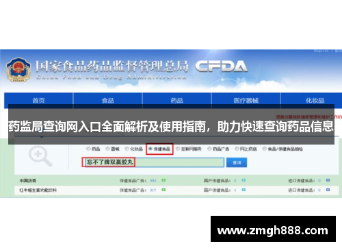 药监局查询网入口全面解析及使用指南，助力快速查询药品信息