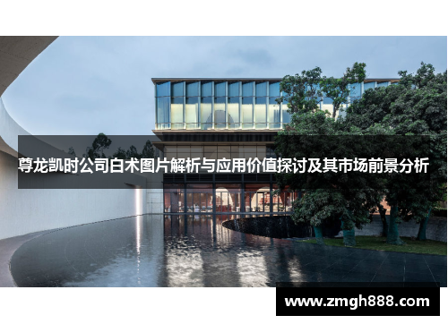 尊龙凯时公司白术图片解析与应用价值探讨及其市场前景分析