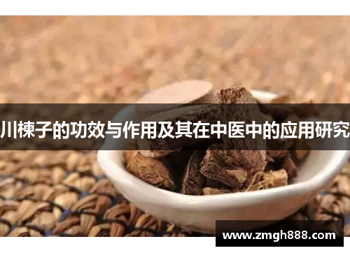 川楝子的功效与作用及其在中医中的应用研究