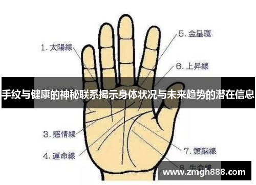 手纹与健康的神秘联系揭示身体状况与未来趋势的潜在信息