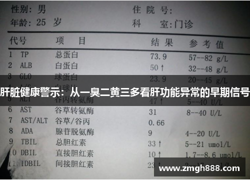 肝脏健康警示：从一臭二黄三多看肝功能异常的早期信号