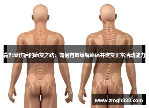 背部受伤后的康复之路：如何有效缓解疼痛并恢复正常活动能力
